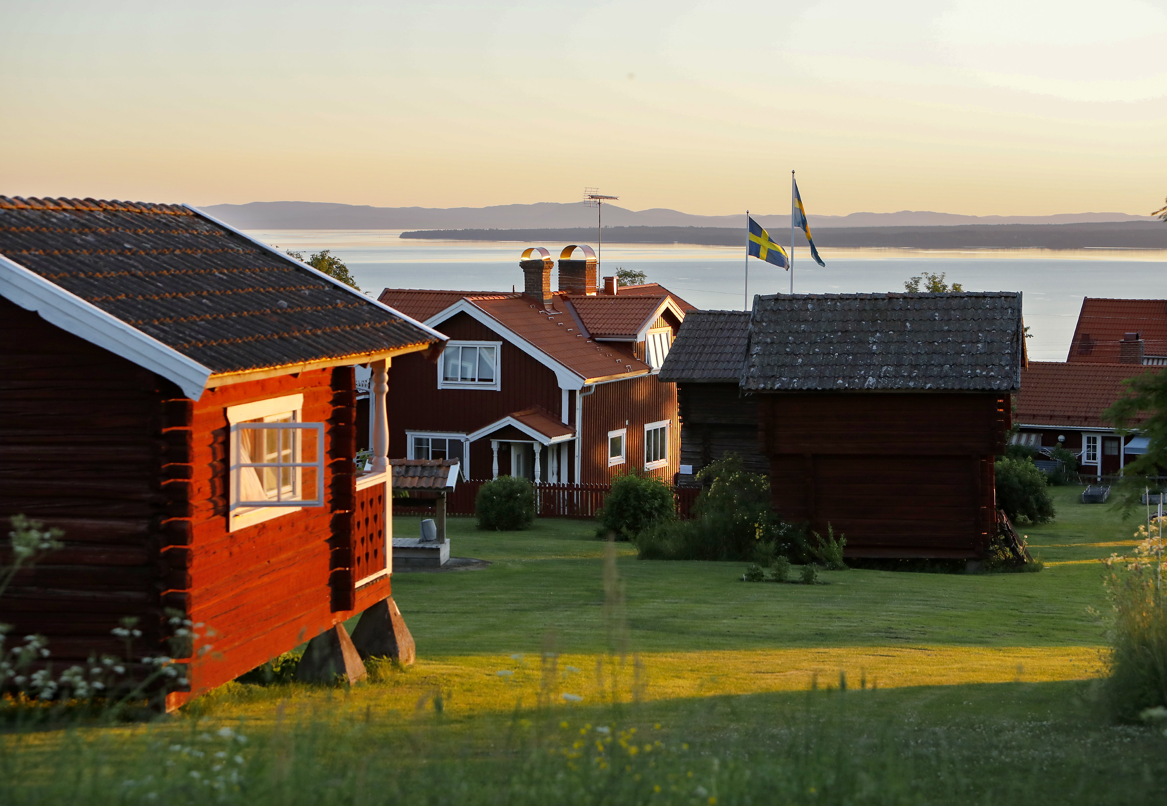 Midsommar_5899