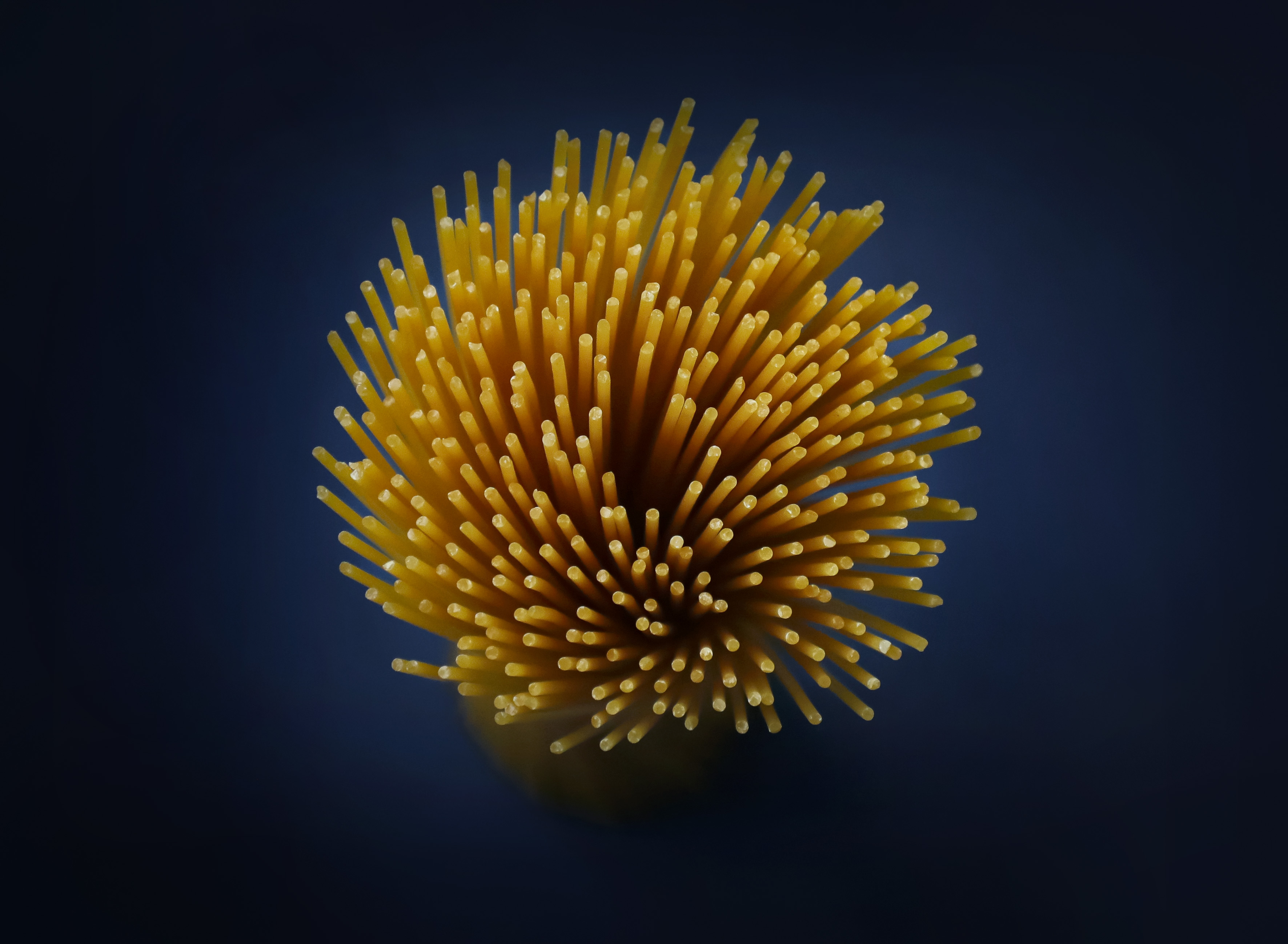 Pasta_6236
